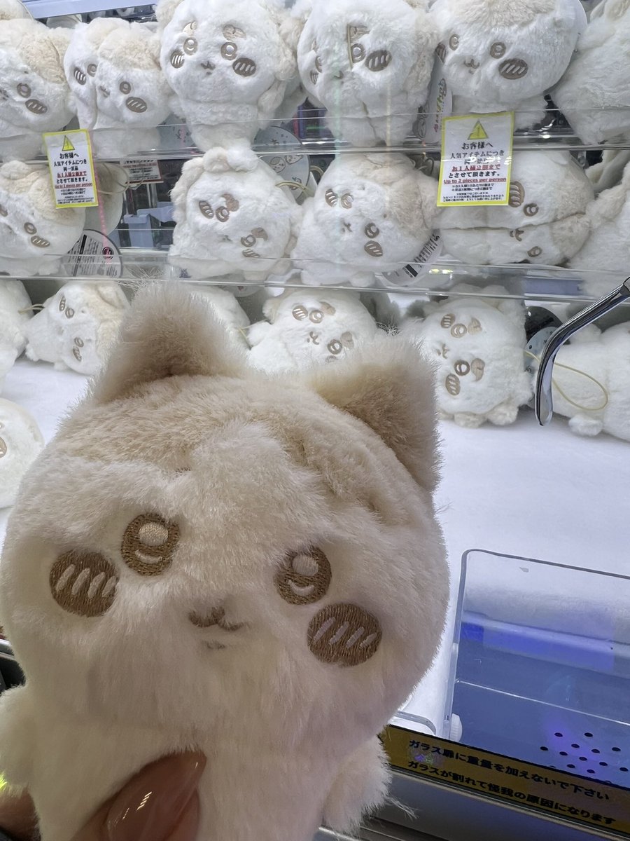 ちいもも様 ちいもも❤︎ (@chichichimomo) / Posts / X