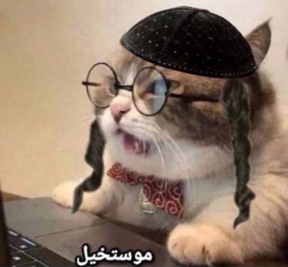 ريما خالد tweet media