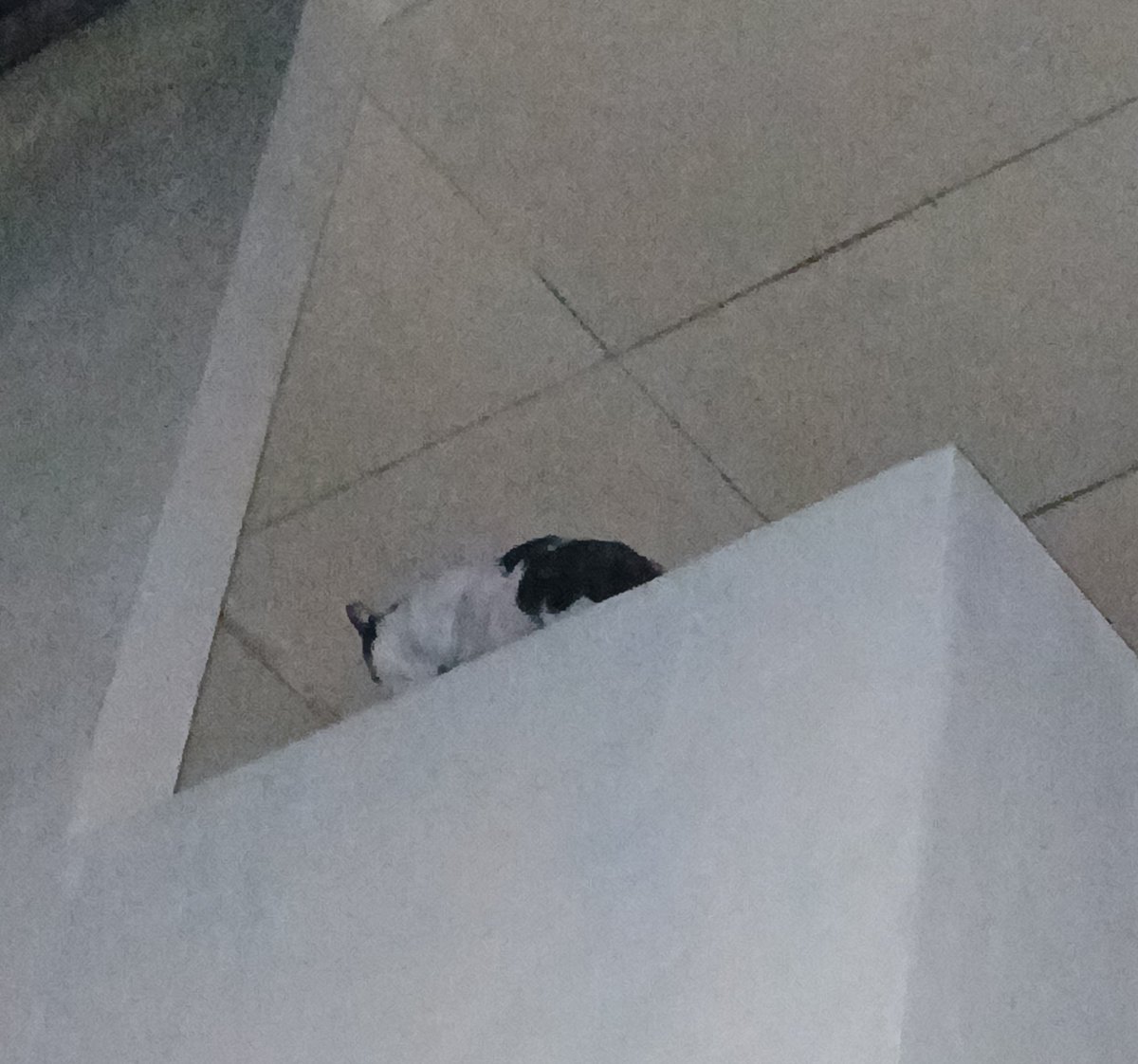 bwonhee's tweet image. Anak cantikku didatengin preman