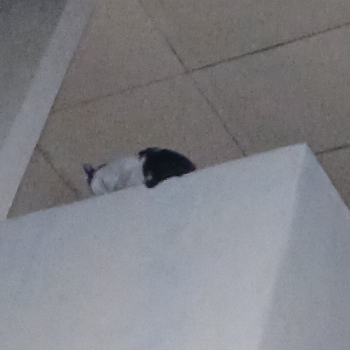 bwonhee's tweet image. Anak cantikku didatengin preman