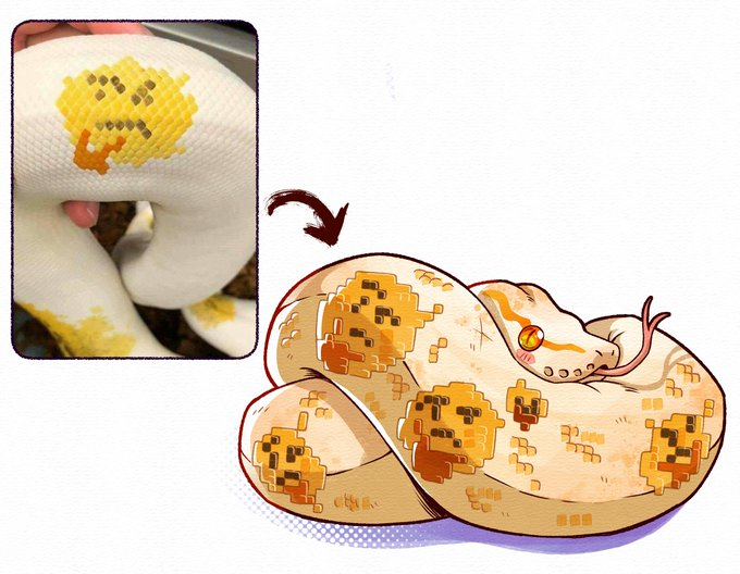 RealestMemes_'s tweet image. 