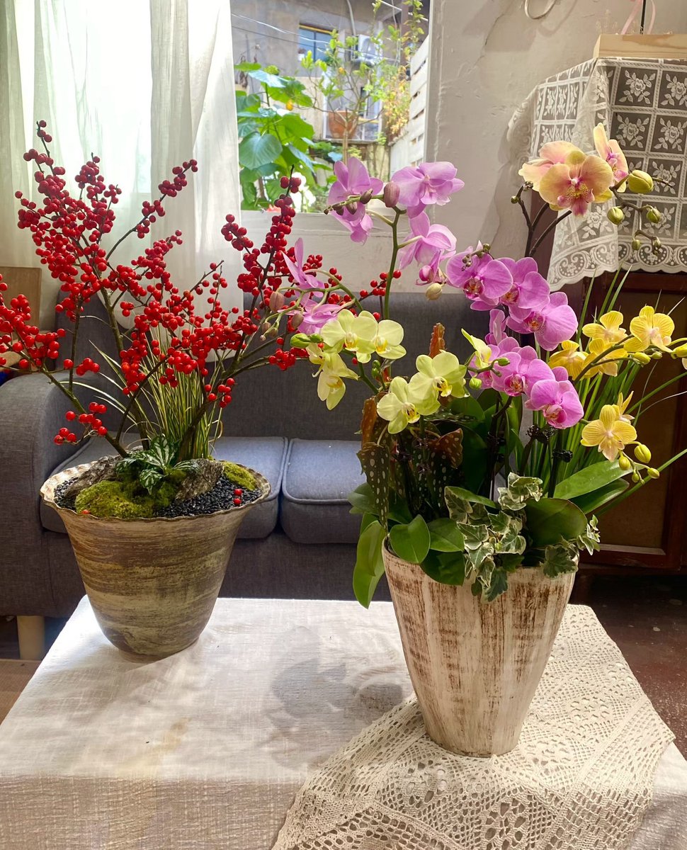 #互关互赞 
一年四季都可以看到的美