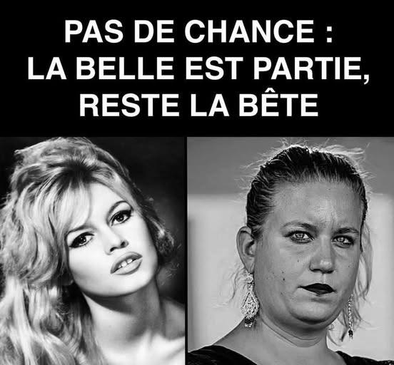 🙏 Pas de chance la belle est partie, reste la bête ! 💩