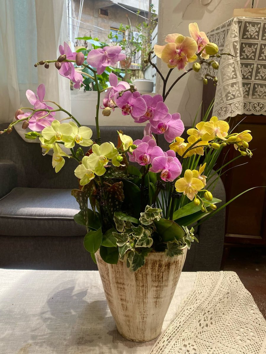 #互关 
你喜欢哪种颜色？