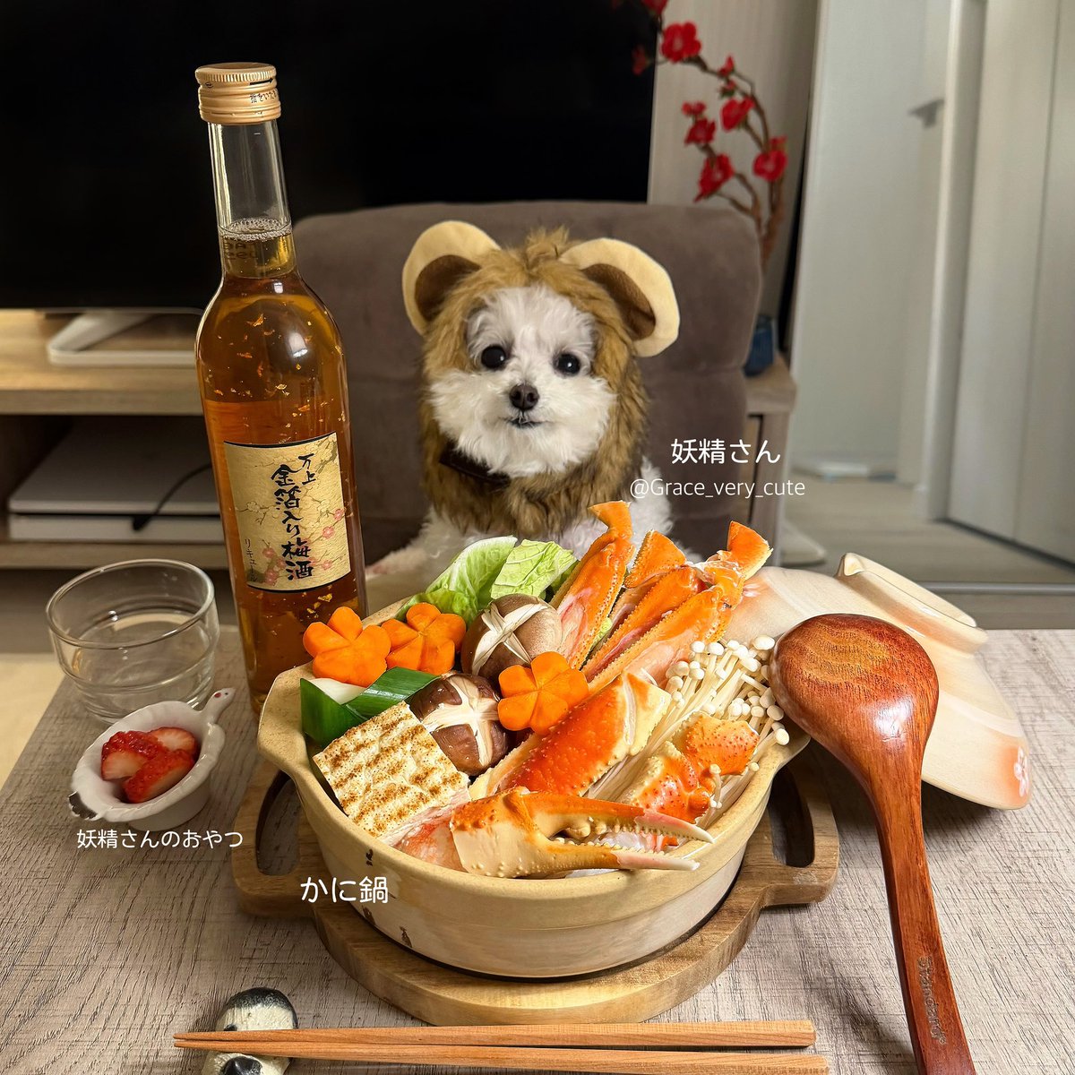 まろた (@marota37) / Posts / X