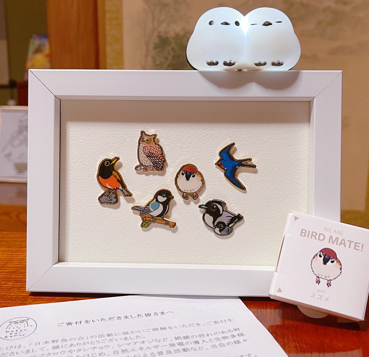 ピンバッジ届きました✨ 並べるとすごく可愛い〜！！ 野鳥好きの