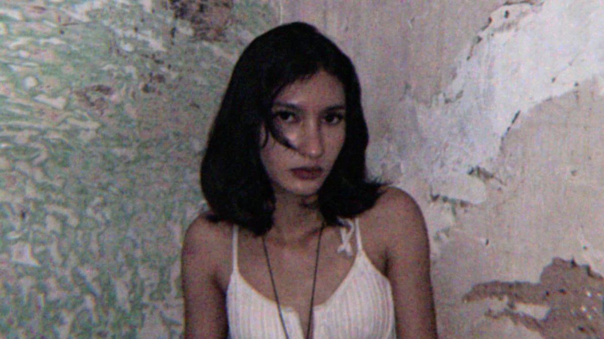 ara 🐙 tweet media