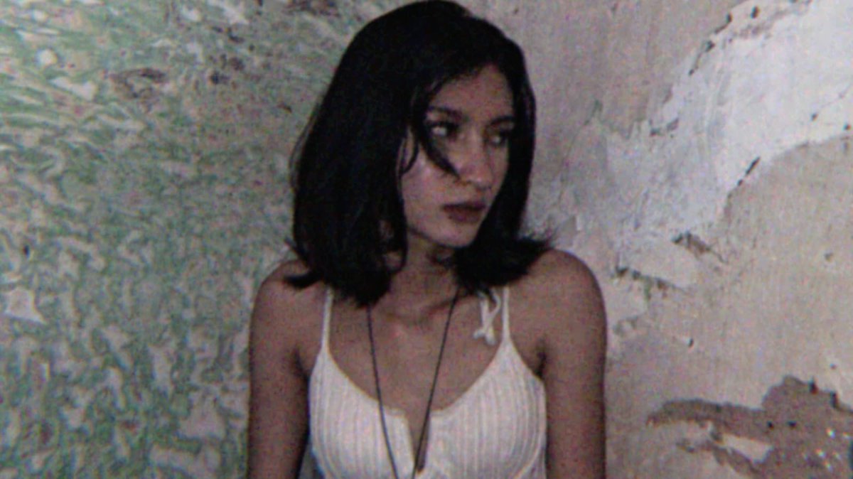 ara 🐙 tweet media