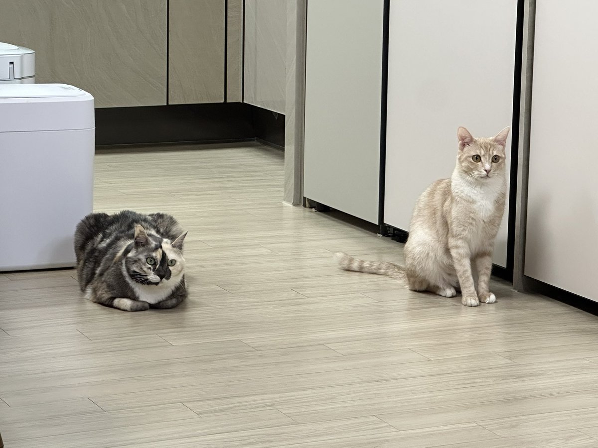 김팀장 (@8ck) on Twitter photo 