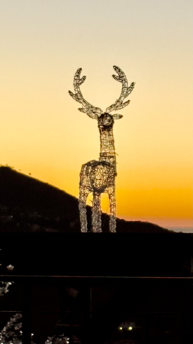 𝓻𝓮𝓪𝓵𝓭𝓪𝓷𝓷𝓷𝓪𝓵𝓮𝓼𝓼𝓪𝓷𝓭𝓻𝓸🐬 tweet media