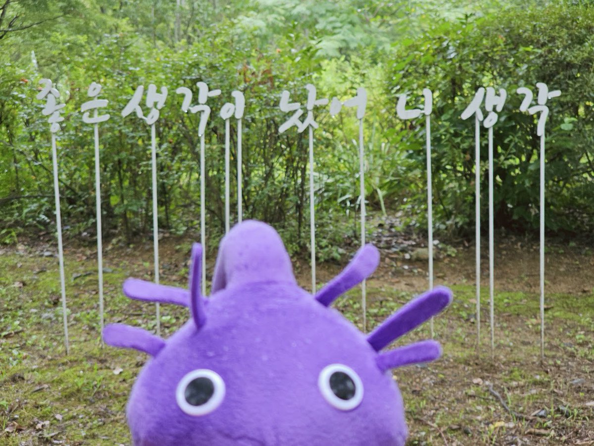 9D8E87__'s tweet photo. 피크민 블룸, 다이어트, 고양이, 디저트, 저속노화, 밀프렙, 혼자 여행 다니는 거 좋아합니다. 님도 좋아해요. 쬬오옵 😘

낡고 병들어서 수제 트윗은 잘 못 합니다. 

팔로우, 블락, 블언블 자유~
저도 자유롭게 합니다. 

#트친소 #일반계 https://t.co/J7iuwqYh3c