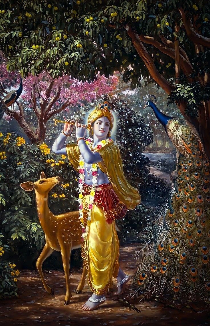 thiahgom's tweet image. se acostume com 
as coisas dando
certo pra você