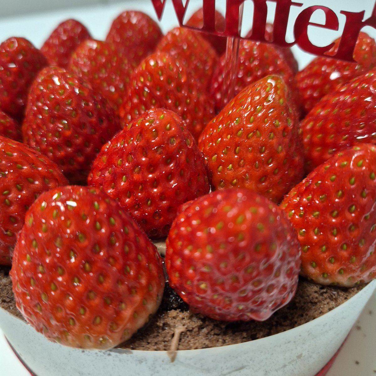 시냐냐 생일을 빌미로 스초생을 홀케이크로 준비해보았습니다