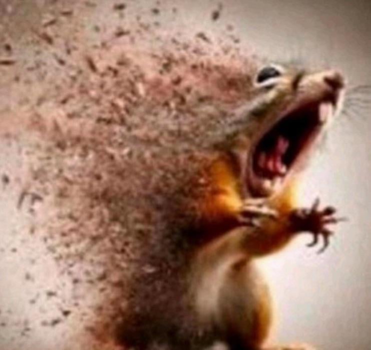 MagicMayro's tweet image. When you wake up 3 hours before you are supposed to and can't go back to sleep