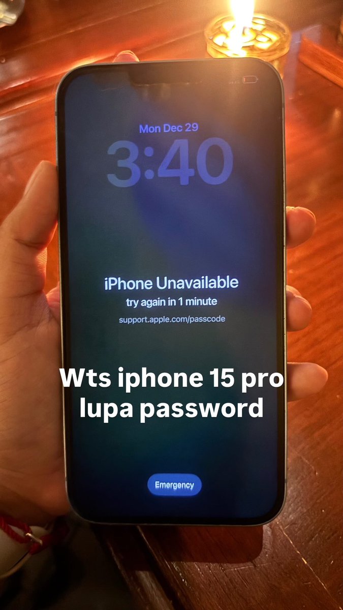 ditta。 tweet media