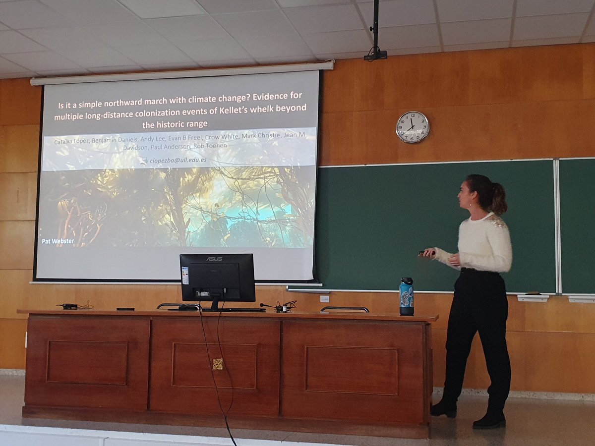 Mariano Hdez tweet media