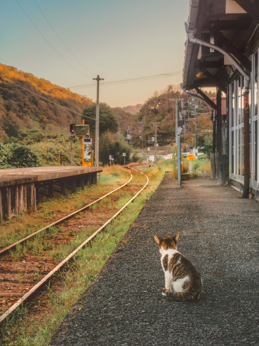 ろろ (@roro_tomashi) / Posts / X