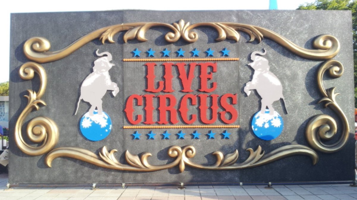 hiro_0217's tweet photo. CIRCUSの思い出は物販で出たねんどろいど!これ買うの大変だったなw ちょうど同時期のゆかりんライブでも同じくねんどろいど出てセットで今も並べてます。 ゲストきた西武ドームもすごいけど愛知が千秋楽だったのが地元民は嬉しかった。
#水樹奈々 #NANA_MIZUKI_LIVE_25th #LIVE_CIRCUS https://t.co/E8aMyZxKy1