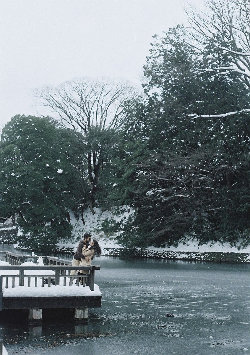 ran_a0_'s tweet image. 雪国のひととき