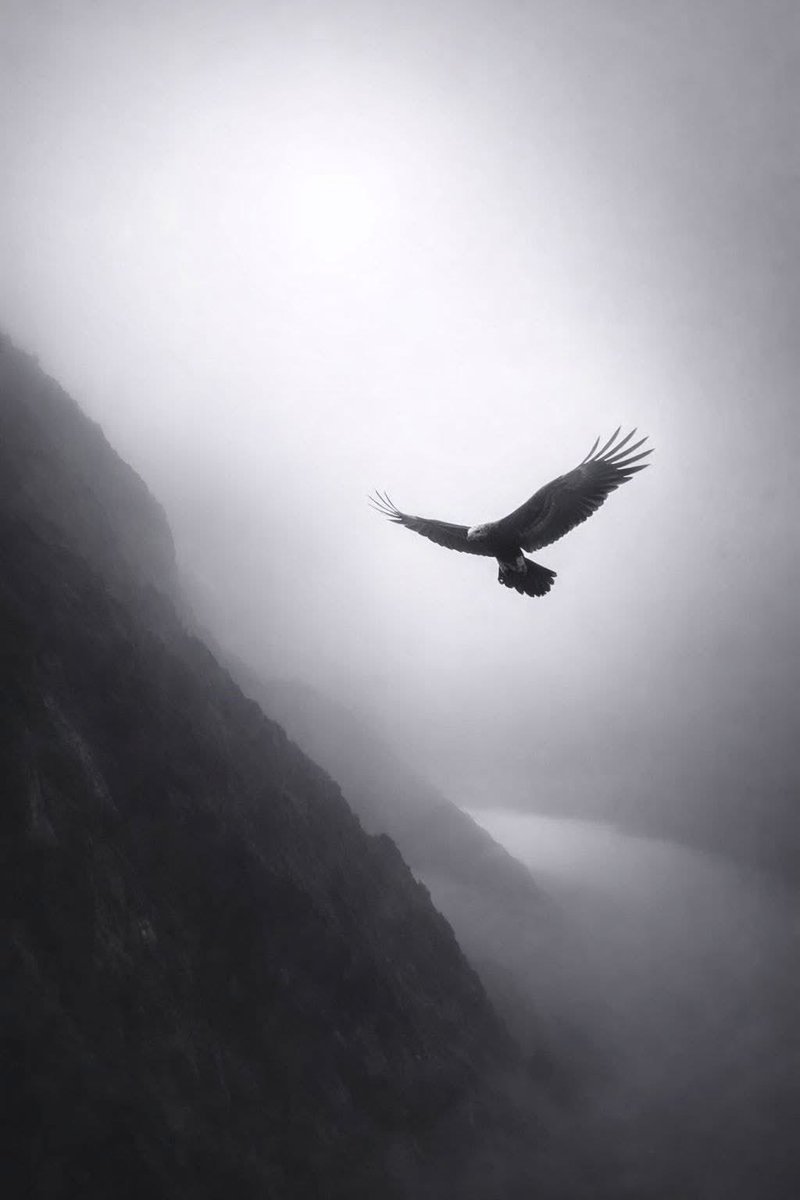 Unlock your pain, and watch it transform into wings. Tell them I’ve returned—stronger than ever.