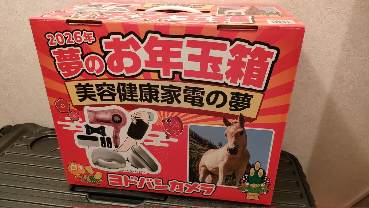 ヨドバシ福袋です。 届いたので早速開封してみたけど、今年は結構良い物入っていて満足