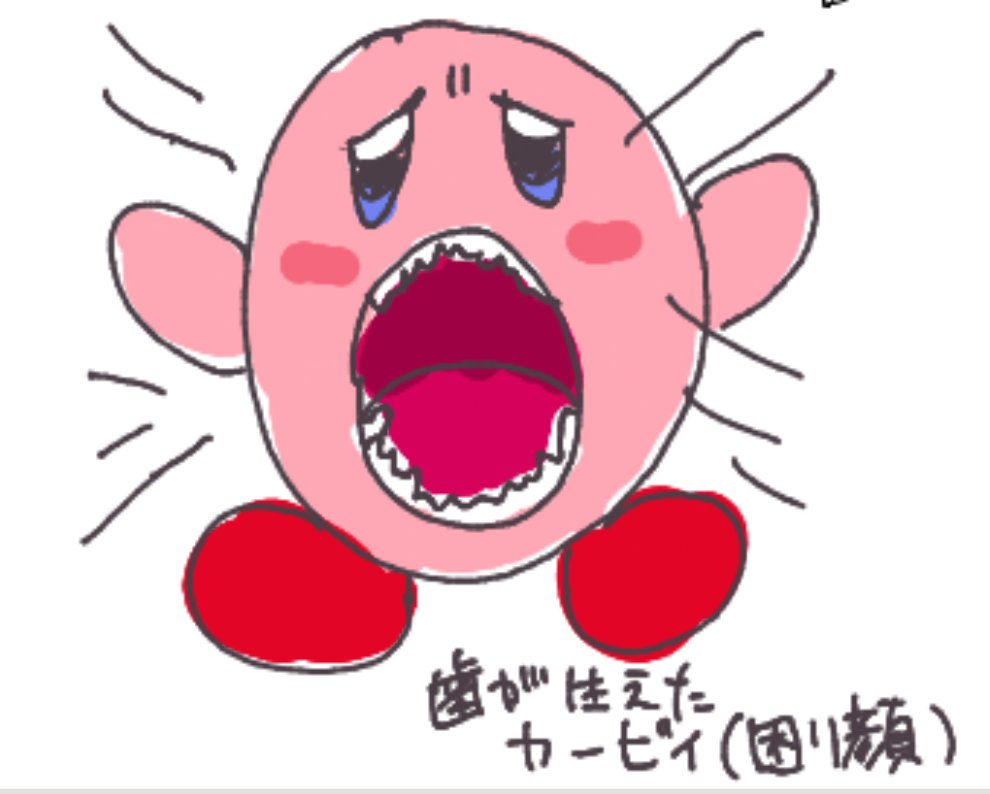 みーた401٩(๑❛ᴗ❛๑)۶ 2021 取り扱い説明書 NINJA ZX-6R ZX636 GMFNN/GMFAN 998060075 1595