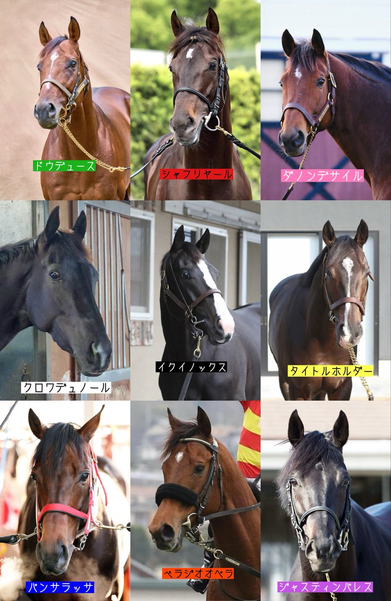 タスティエーラ(QEII世C)・ヘデントール(天皇賞春)アイドルホース2点セット タスティエーラ(QEII世C)・ヘデントール(天皇賞春)アイドルホース2点