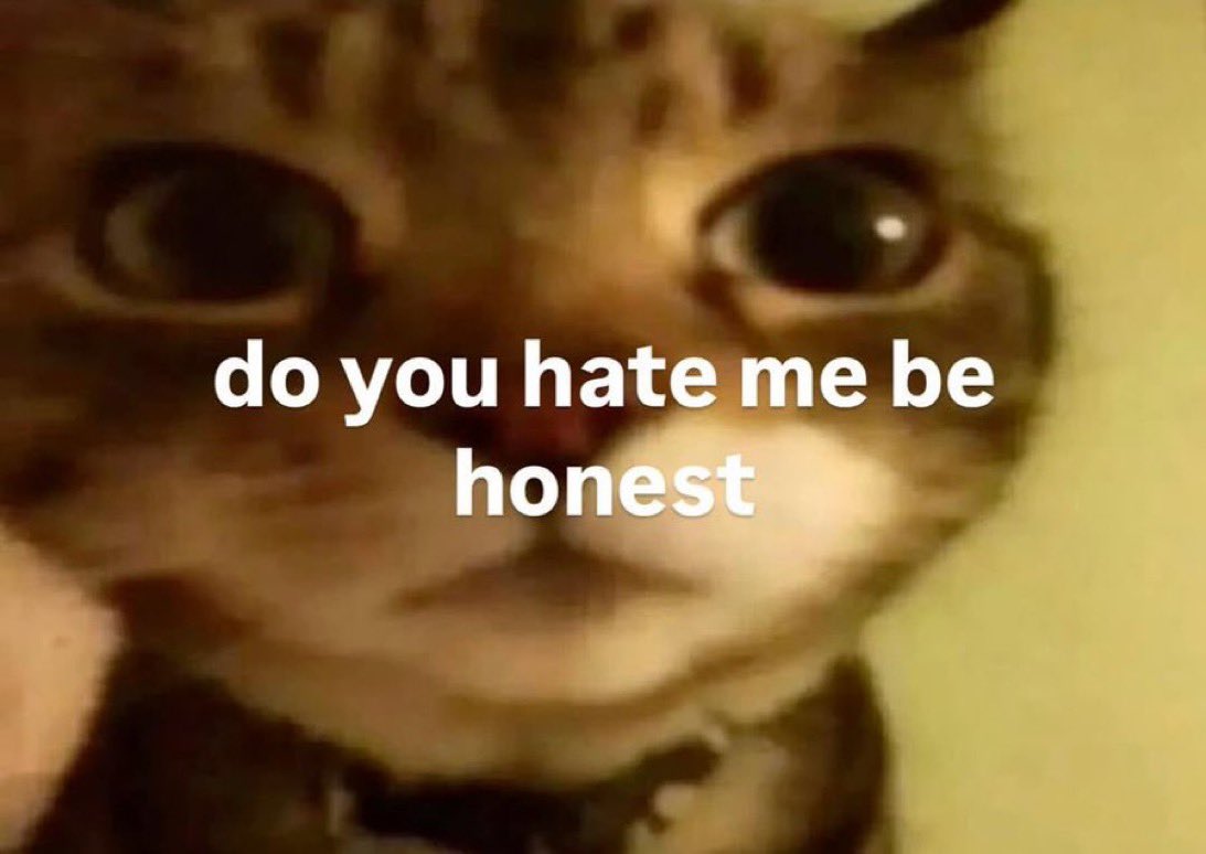 human pudding tweet media