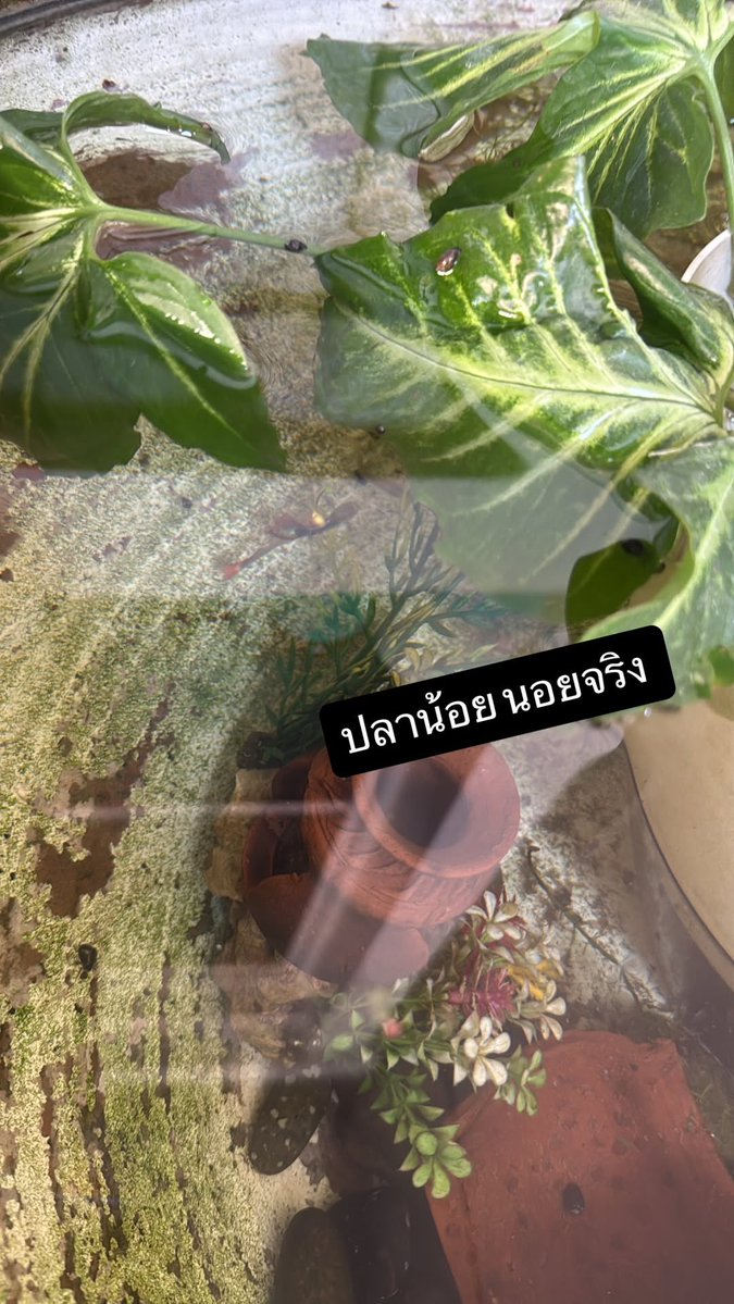 badbboss's tweet image. 