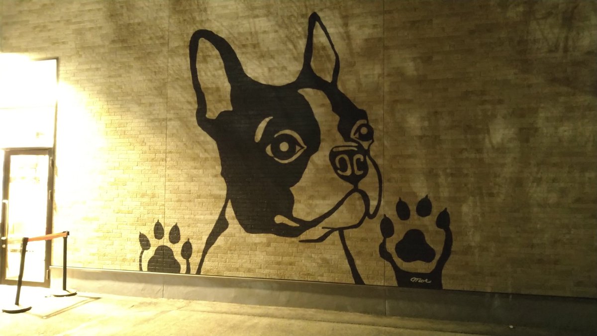 initial_kuro's tweet image. 今日そんなに寒くなかったので
軽井沢プリンスアウトレットに空いてる時間狙って行ってみました😄うちから20分ほどで着いちゃうから地元の人間はこんな行き方をします😊
年末セールやっててみんなたくさんお買い物してて幸せそうな人たちが多かった😄