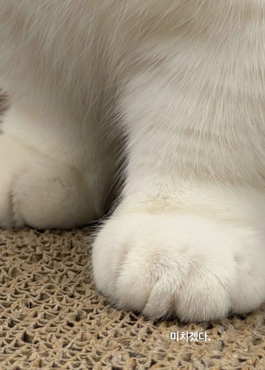 K⁷ | ⊙⊝⊜ tweet media