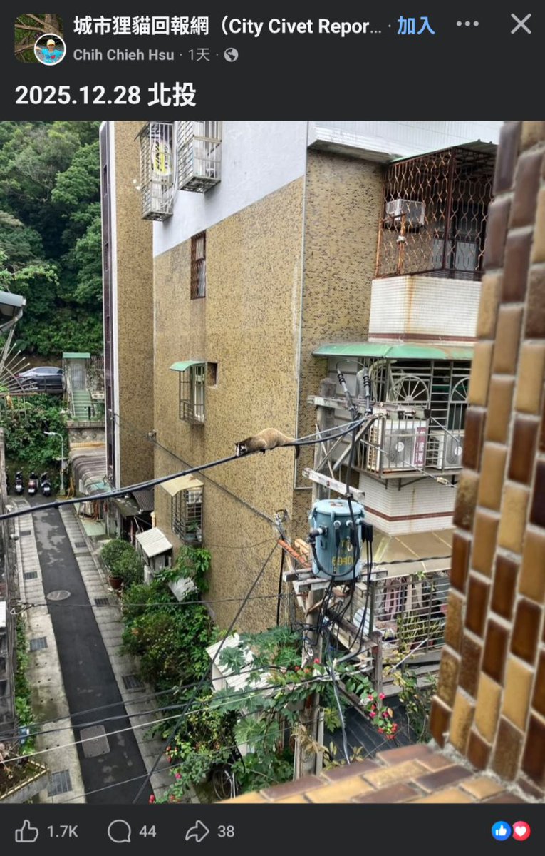 KN@Taiwan Republic (@1t1c1w) on Twitter photo 