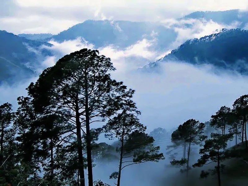 AndhraCommunity's tweet photo. 🌫️❄️ Araku & Lammasingi are packed this winter! 🌄🚗
Tourists pouring in from Odisha, West Bengal, Chhattisgarh & Telangana have turned these hill stations into top winter hotspots.
A clear sign of booming winter tourism in Andhra Pradesh ✨
#ArakuValley #Lammasingi #WinterTourism #AndhraPradesh #Visakhapatnam #APTourism