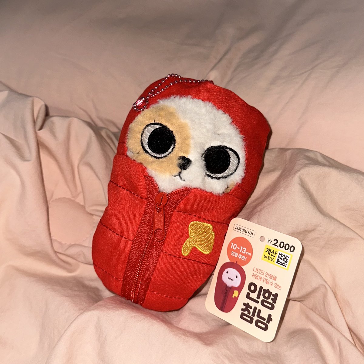 내 캣삐 밤에 나 잠들면 혼자 뚜박뚜박 걸어다닐거같음  ...