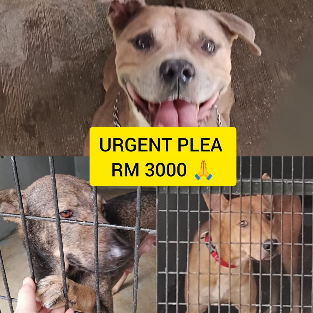 min min 🐱 tweet media