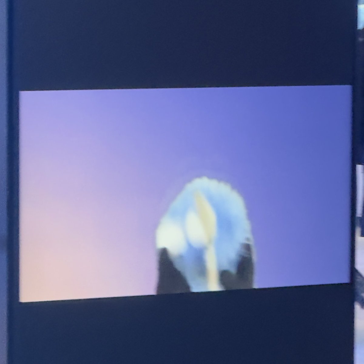 スソスソ