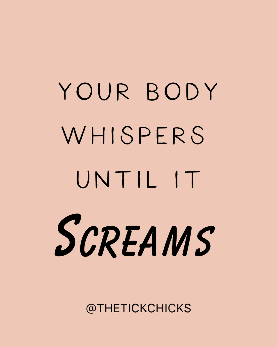 The Tick Chicks tweet media