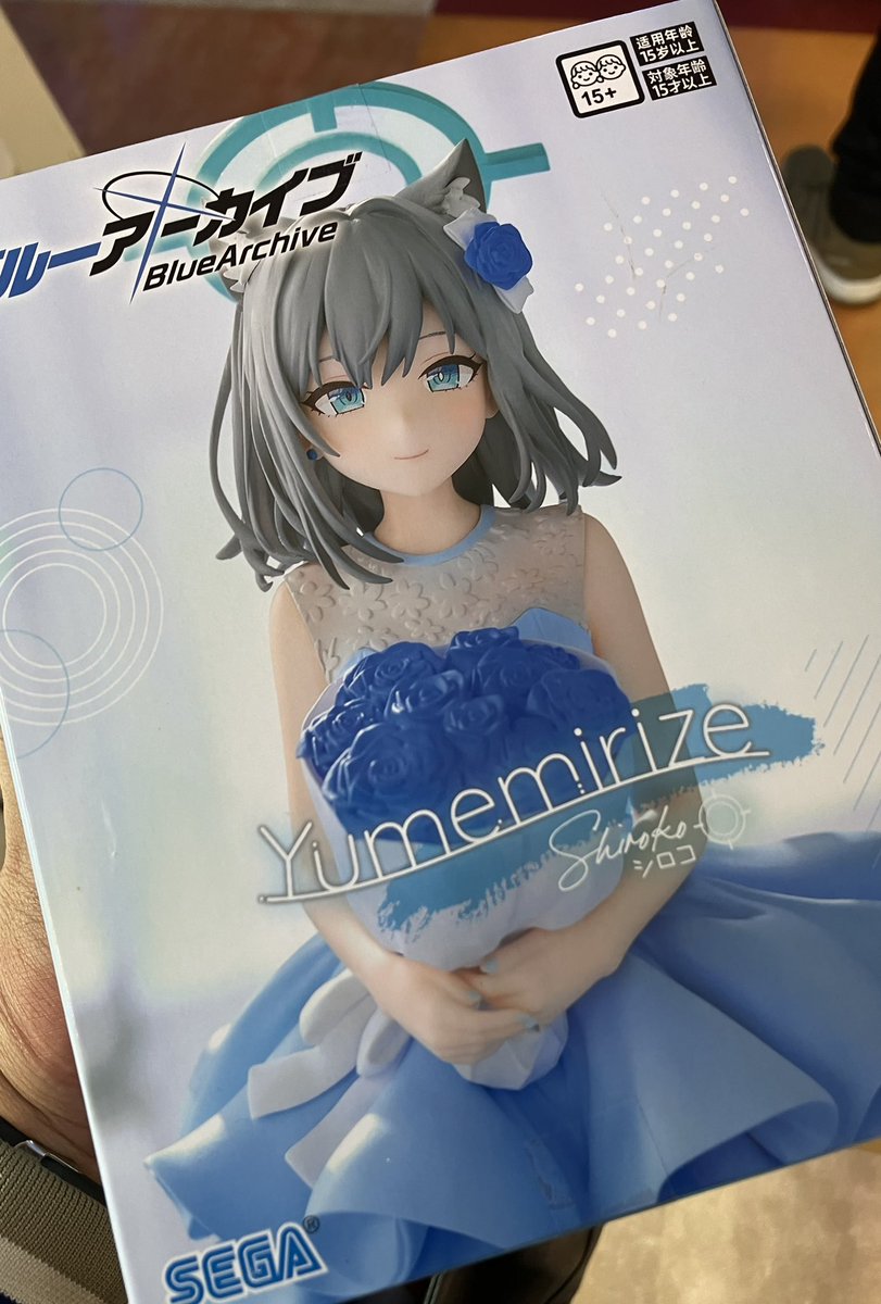 シロコお迎えした✌️