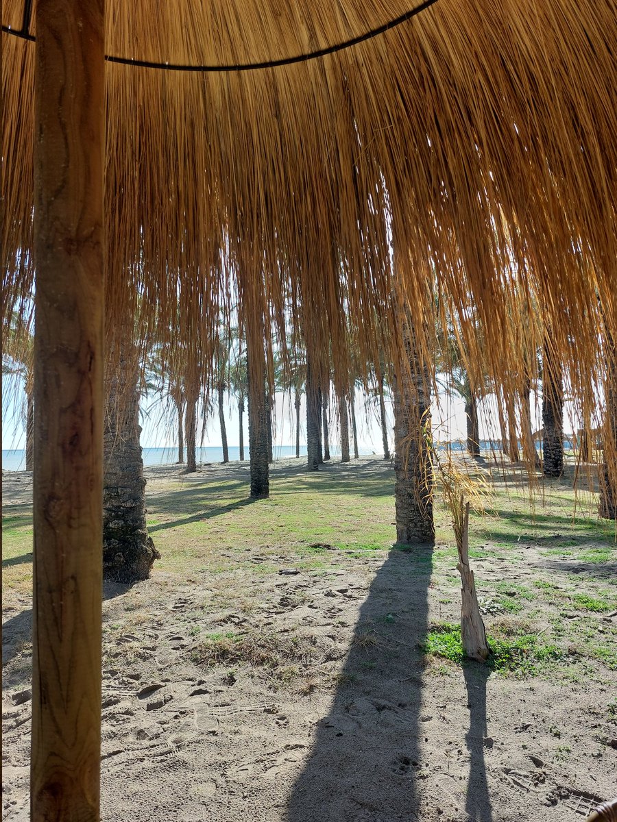 Ricardo Pedrol (@ricardopedrol) on Twitter photo 