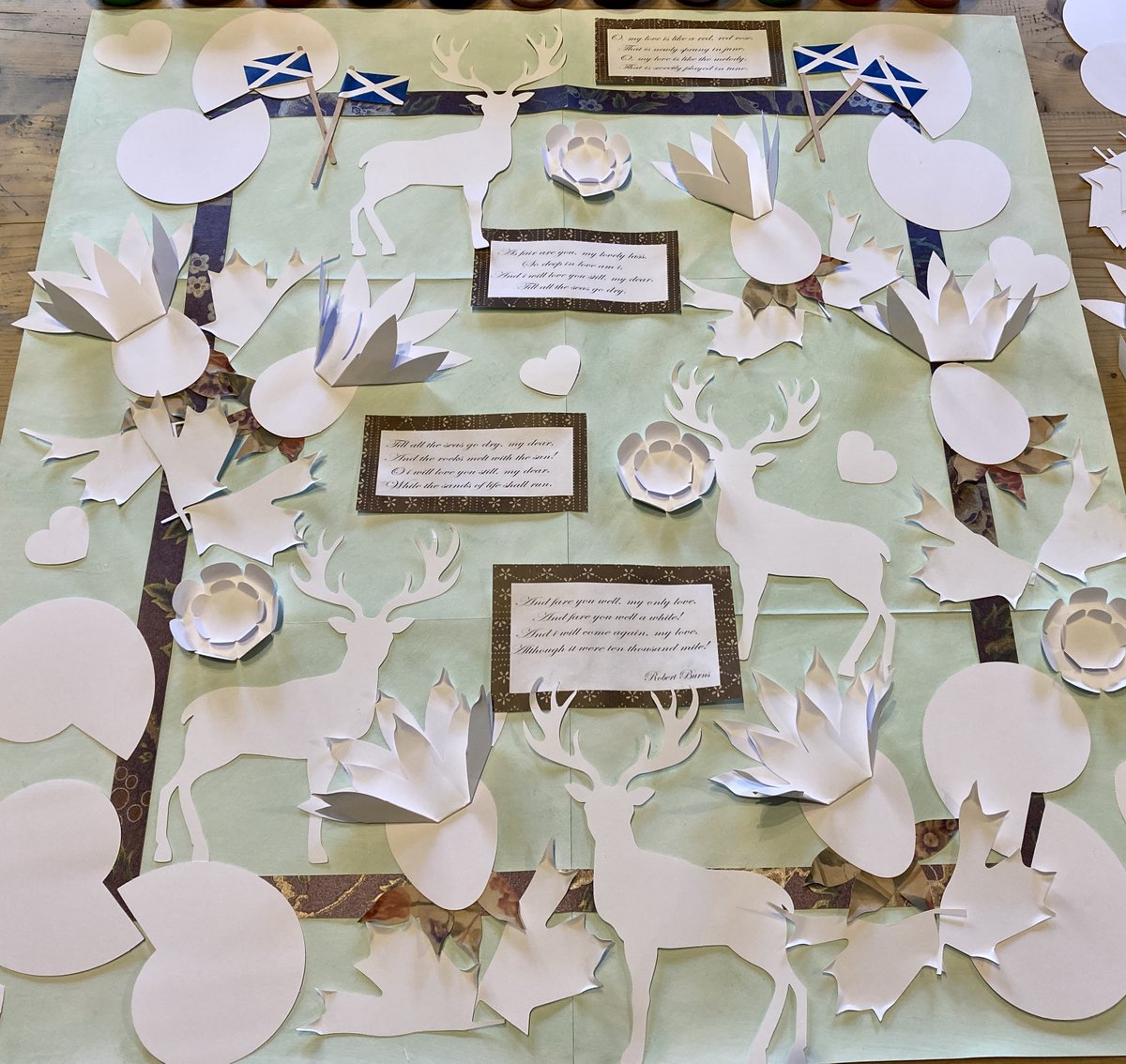 Creative Mojo Ltd tweet media