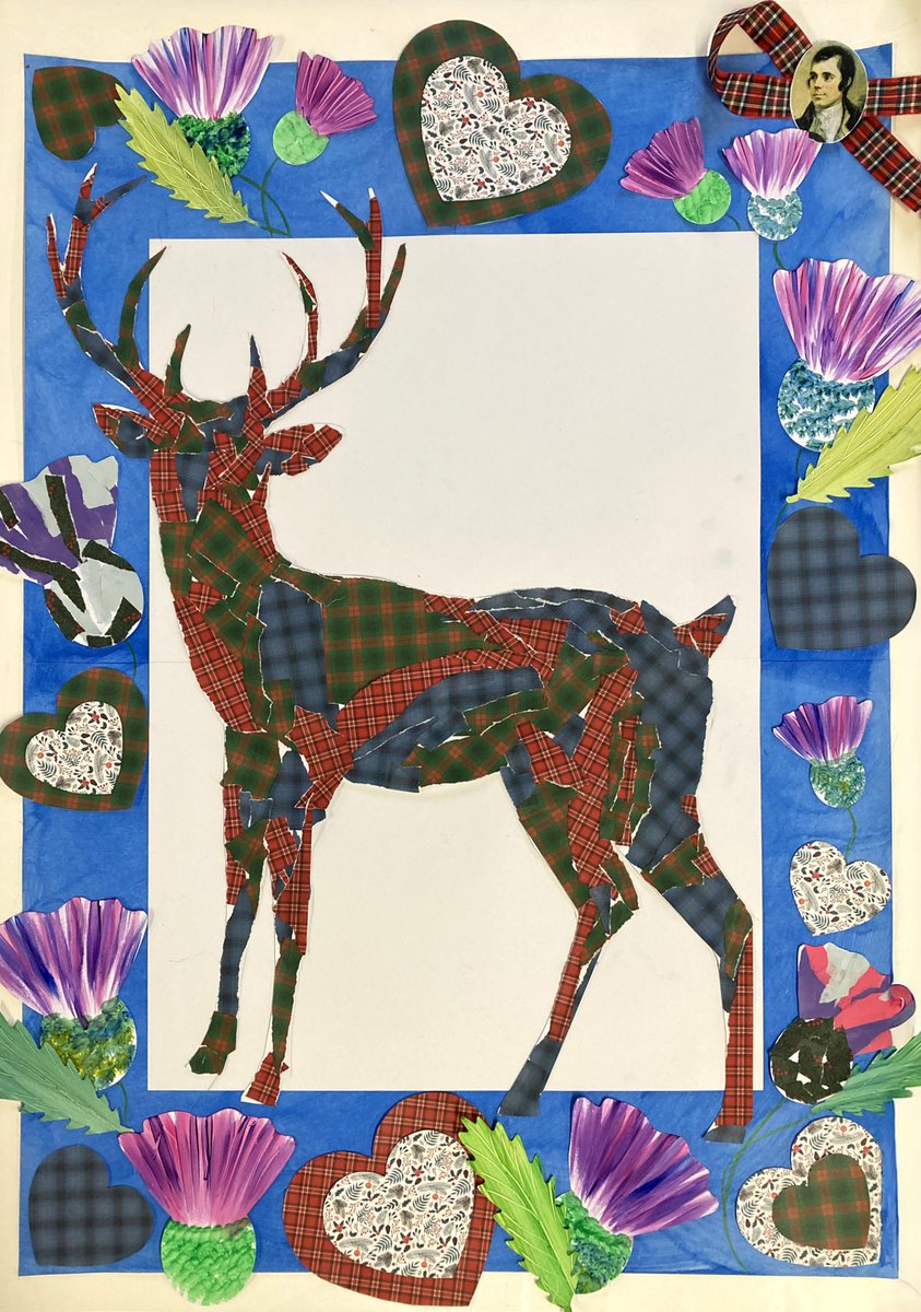 Creative Mojo Ltd tweet media