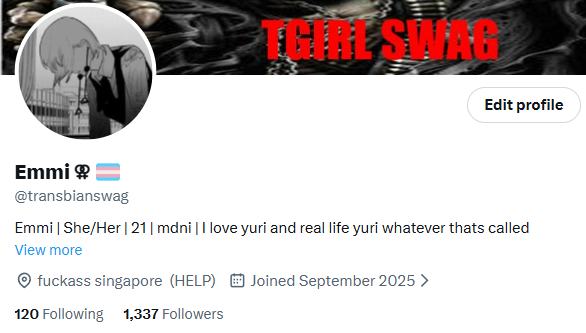 1337 followers funny number :)