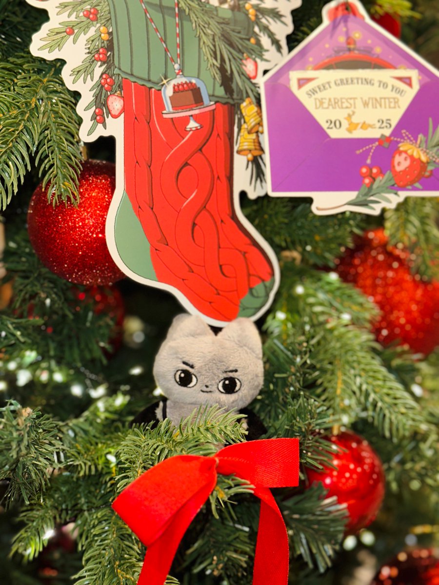 annxini's tweet image. 앙!마가 되고 싶은 천사
앙시니 지구 상륙 👽

안신이의 데뷔를 맞이하여
#RT 추첨 세분에게
제작 확정 시
조우안신 8cm 인형
앙시니 한 마리 보내드립니다🖤

#안신 #ANXIN
#조우안신 #周安信 #ZHOUANXIN 
#ALD1 #알파드라이브원 #ALPHADRIVEONE