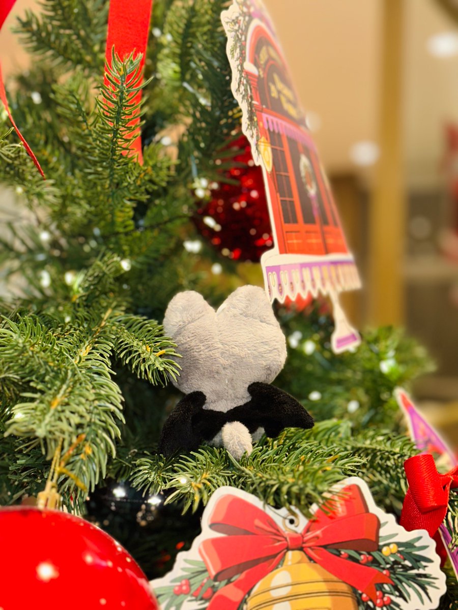 annxini's tweet image. 앙!마가 되고 싶은 천사
앙시니 지구 상륙 👽

안신이의 데뷔를 맞이하여
#RT 추첨 세분에게
제작 확정 시
조우안신 8cm 인형
앙시니 한 마리 보내드립니다🖤

#안신 #ANXIN
#조우안신 #周安信 #ZHOUANXIN 
#ALD1 #알파드라이브원 #ALPHADRIVEONE