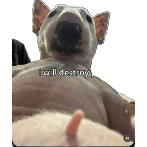 EXOFlow221532's tweet photo. @Makg594611 @palantirthreat @mitoa19 @EpicVideos__ Damn the pedo madddd 🤣 u wanna see my pp too? https://t.co/4lkW4DYPno