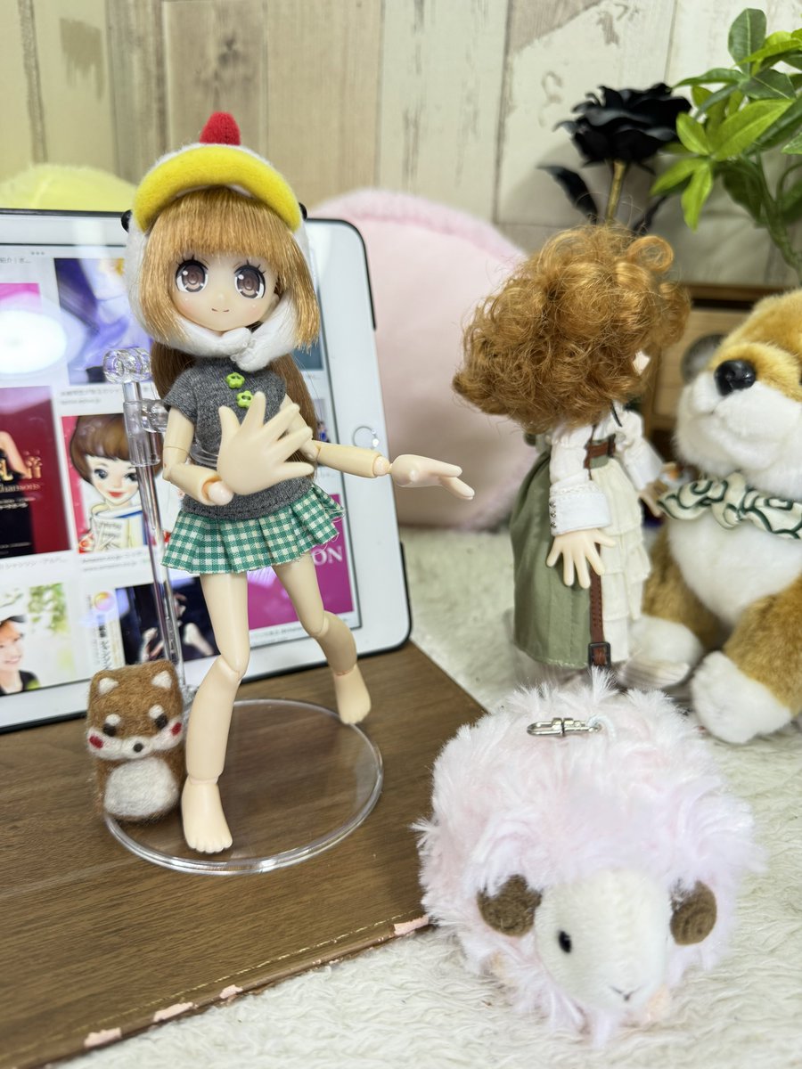 くまきち (@bearbeartyan) / Posts / X