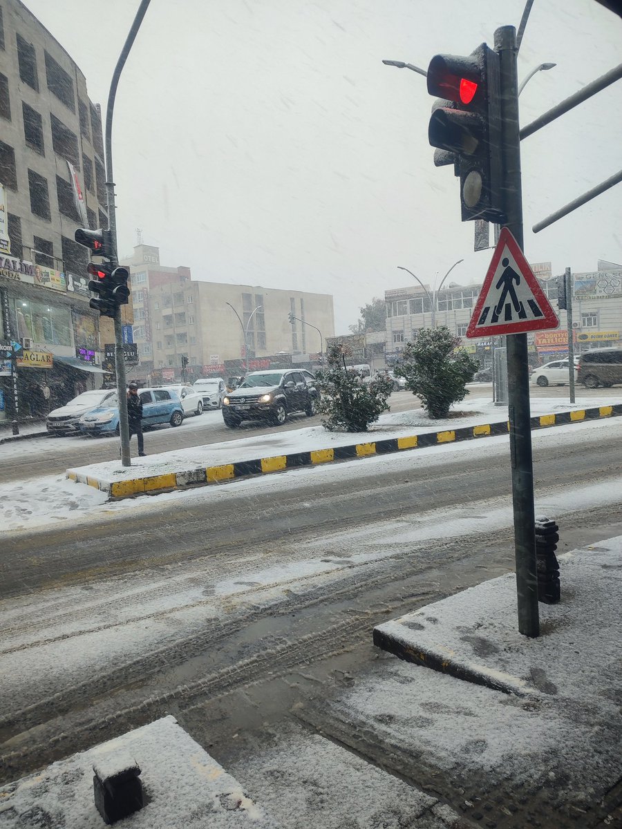 Yüreğimize kar serpildi 
Dilê me bi berfê hatibû rijandin.