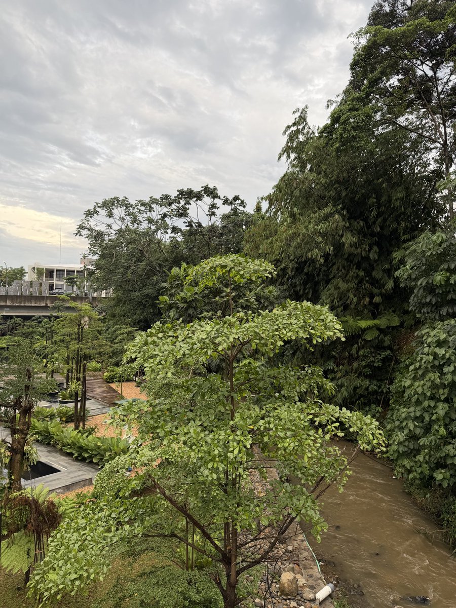 putranicholas1's tweet image. Nyobain Nako terbaru di Bogor.