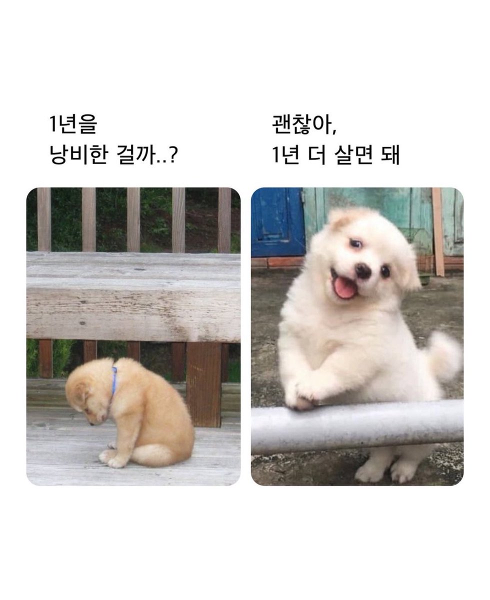 정원하루 (@jungandbook) on Twitter photo 