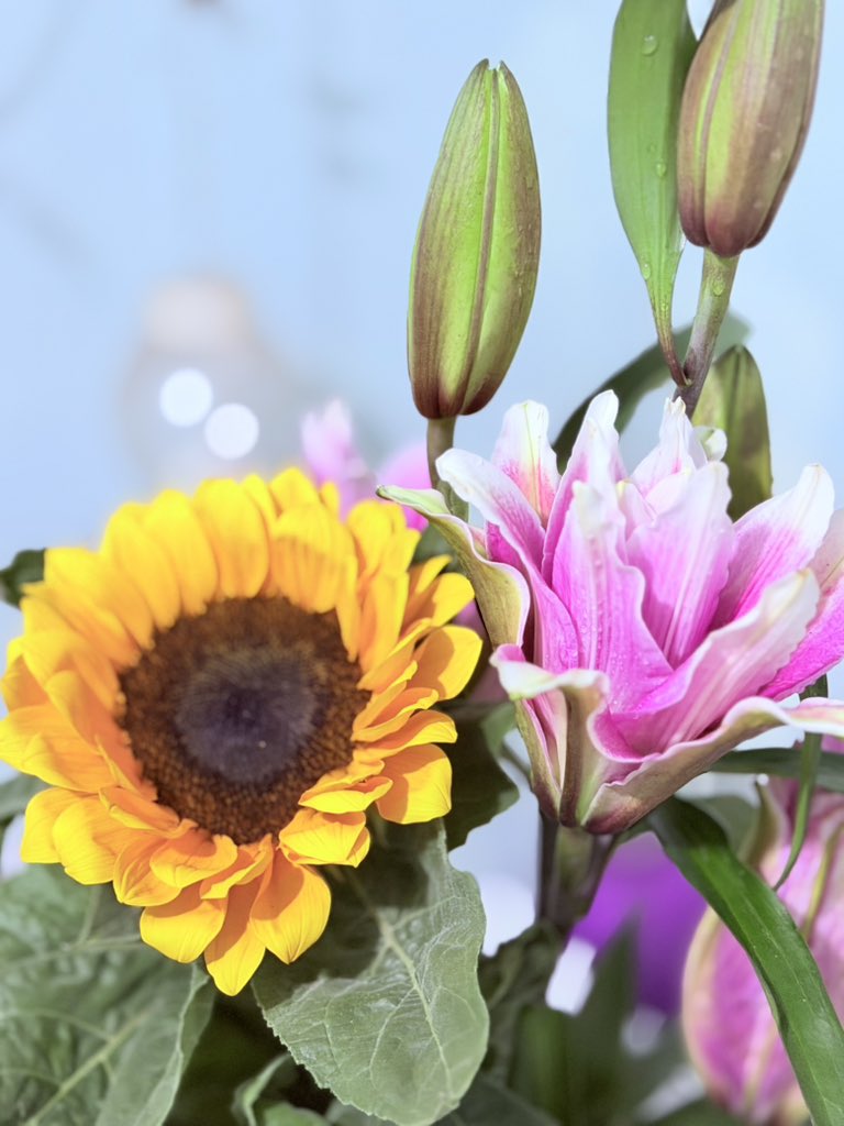 jjfmik's tweet photo. What a pair of perfect match for me. Sunflower and Lily both. LWZ &amp; PS or LWZ &amp; FD. #GuanYuan #Justiceinthedark #Modu #silentreading #ZhaoSu8199 https://t.co/f4WEaOSJye